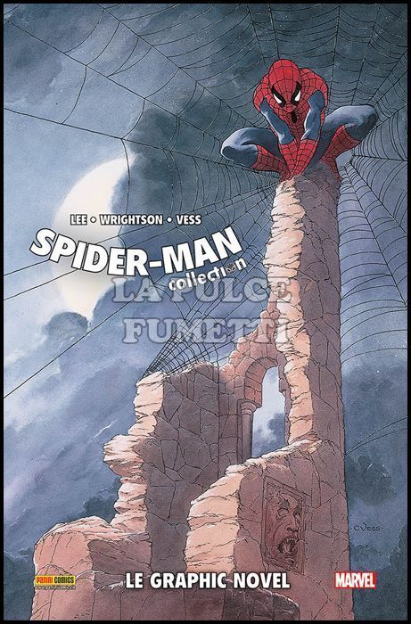 SPIDER-MAN COLLECTION CARTONATO #    10: LE GRAPHIC NOVEL